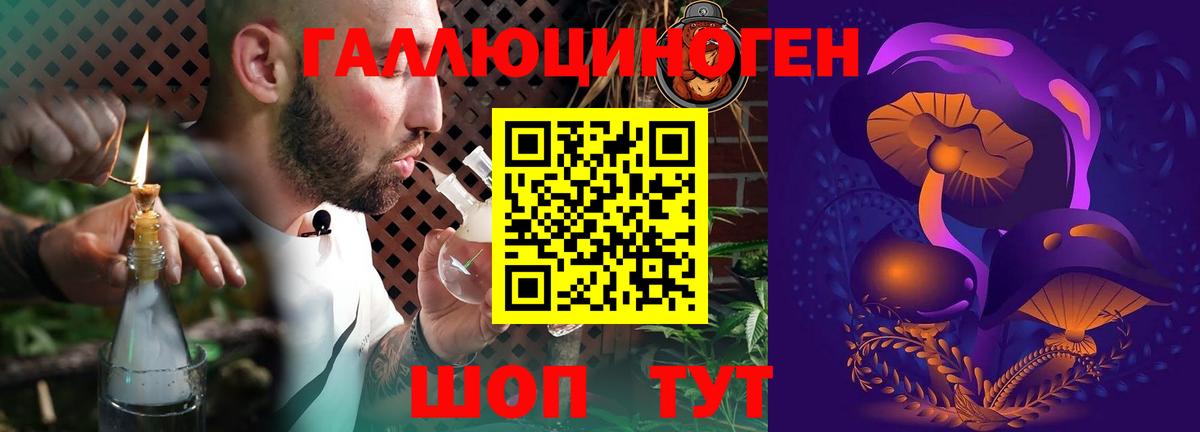 Хабаровск  купить закладку  Вход с VPN  Галлюциногенные грибы Psilocybine cubensis 